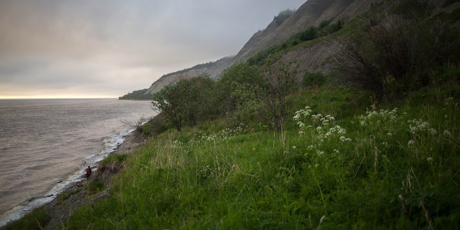 Coast