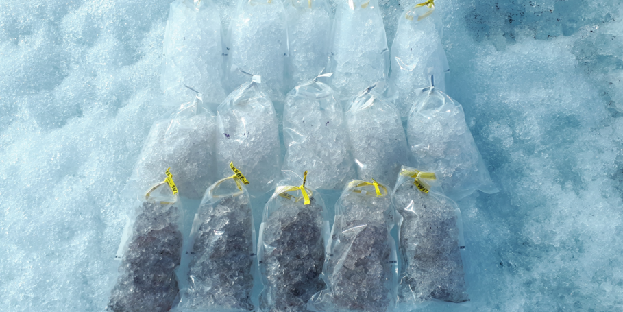 During my 2021 summer fieldwork season on the Greenland Ice Sheet I aimed to investigate the biotic and abiotic factors influencing the formation of pigments and their precursors in ice algae. Pigmented deep purple ice algae inhabit the Greenland Ice Sheet, darkening the surface, decreasing albedo and thus contributing to the acceleration of the ice melt. We presume that factors such as light, temperature, microbial community composition and cell density may influence the formation of pigments in these algae. I therefore collected samples from various habitats, throughout 24-cycles and tested processing at different temperatures. The picture above shows a collection of samples from ice-patches with distinct coloration intensities, which -after processing and analysis in our labs at GFZ- will help us better understand the darkening of the Greenland Ice Sheet.