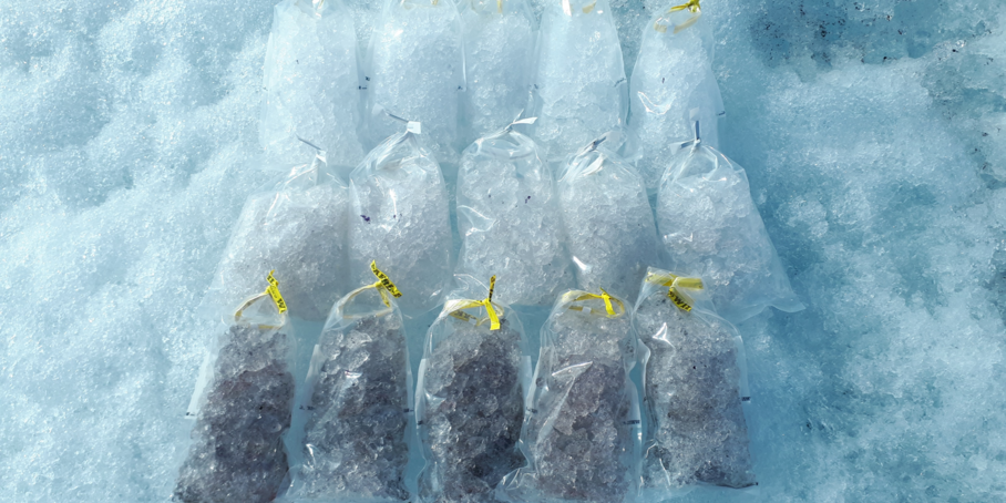 During my 2021 summer fieldwork season on the Greenland Ice Sheet I aimed to investigate the biotic and abiotic factors influencing the formation of pigments and their precursors in ice algae. Pigmented deep purple ice algae inhabit the Greenland Ice Sheet, darkening the surface, decreasing albedo and thus contributing to the acceleration of the ice melt. We presume that factors such as light, temperature, microbial community composition and cell density may influence the formation of pigments in these algae. I therefore collected samples from various habitats, throughout 24-cycles and tested processing at different temperatures. The picture above shows a collection of samples from ice-patches with distinct coloration intensities, which -after processing and analysis in our labs at GFZ- will help us better understand the darkening of the Greenland Ice Sheet.