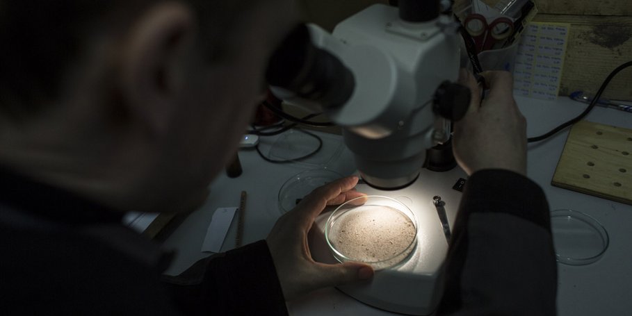 Zu Tage gefördertes Bohrklein wird vor Ort auf seine Zusammensetzung untersucht. (1.3.2016, P. Spalek)