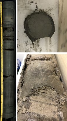 Bohrkern aus dem Hettang-Sandstein, gewonnen im Rahmen der Forschungsbohrung GeoFern