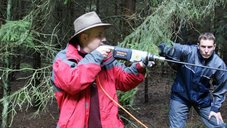 Minimally-invasive sampling of a wood core using an incremenct borer