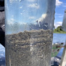 Ungestörte Seesediment-/Wassergrenze in einem Kurzkern vom Tiefen See