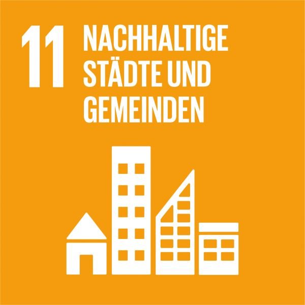 SDG icon