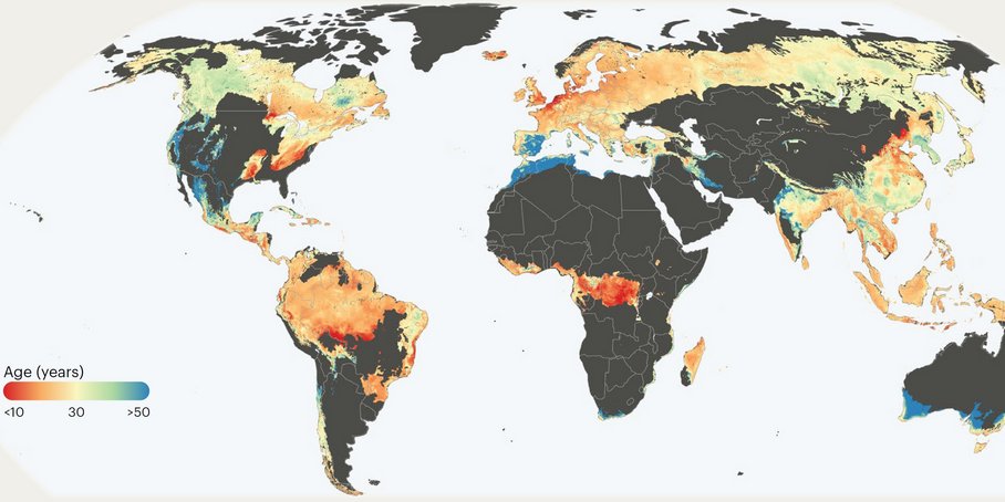 World map with coloured areas indicating the age of renewable forests