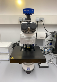 Fluorescence-microscope imager M2 Zeiss