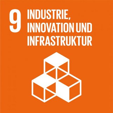 SDG icon