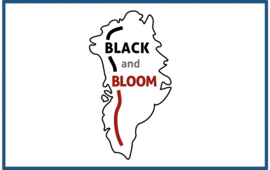 Black and Bloom logo