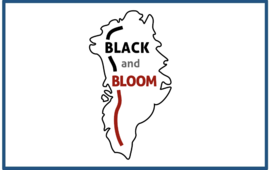 Black and Bloom logo