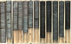 In a compartmentalised wooden box, 14 drill cores of varying lengths—some of them broken—lie side by side. The round pieces display a layered pattern.