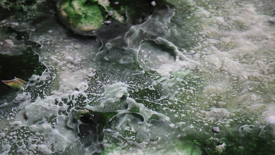 Mikroorganismen in thermalen Quellen des Flusses Tronto bei Acquasanta in Italien.