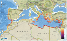 It is shown a Tsunami hazard map from Europe.