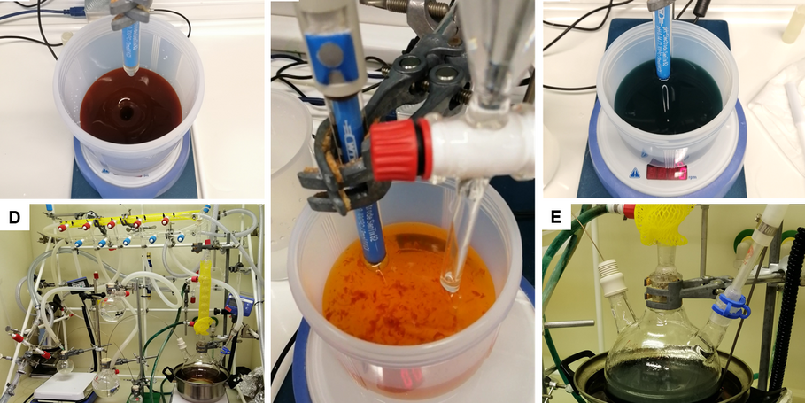 Photo for Ruth's research update