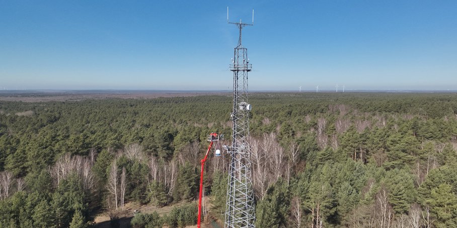 Ansicht Funkturm in Waldlandschaft