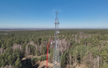 Ansicht Funkturm in Waldlandschaft