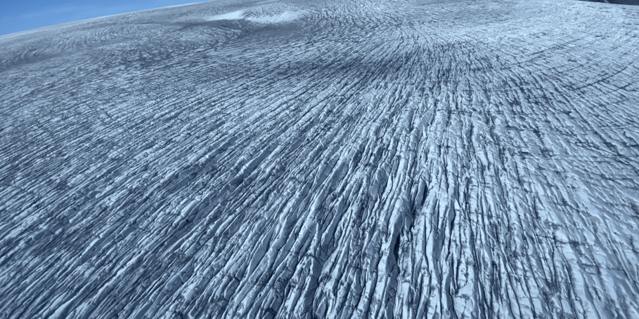"Dark ice", 2020 field work in Greenland