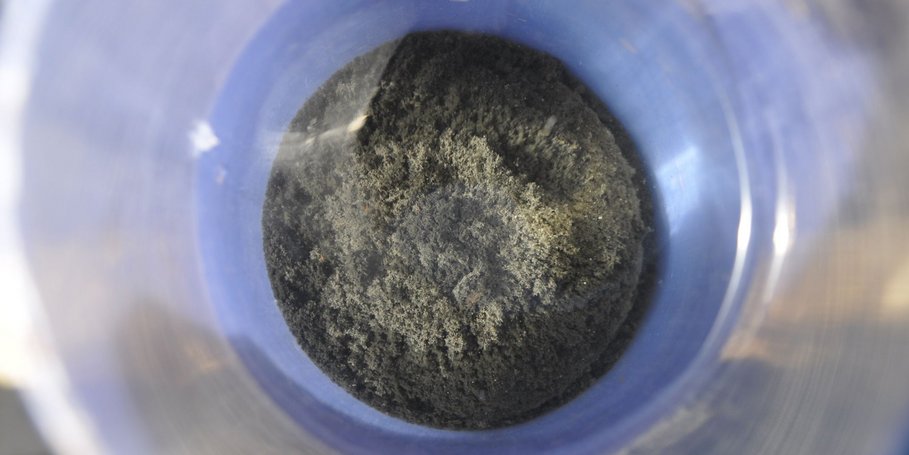 View into a plastic drill tube with freshly cut sediment water interface from Lake Sary-Chelek