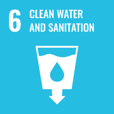 Sanitation Icon