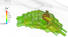 3D representation of simulation results