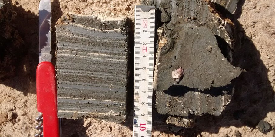 Ausgeschnittene Seesedimente mit Taschenmesser und Zollstock zum Größenvergleich.