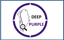 Deep Purple Logo