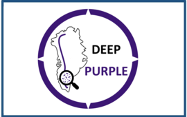 Deep Purple Logo