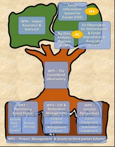The ForestWard Observatory (WP5) is sustained by three Roots: (I) Forest Status (WP2); (II) CSF & Restoration Management (WP3); and (III) Societal Perspectives (WP4). All these feed from the grants-to-third-parties scheme (WP1). The ForestWard Observatory products will be promoted through Impact Assurance & Outreach (WP6). Yellow circles denote potential collaboration with the European Environment Agency (EEA) and the Joint Resarch Centre (JRC), which would ensure a long-term impact.