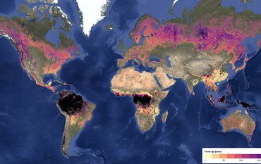 Weltkarte als Mercator-Poejektion mit natürlich eingefärbter Oberfläche. Wälder überlagern als farbige Flächen die Karte, je nach Alter in unterschiedlichen Farben.