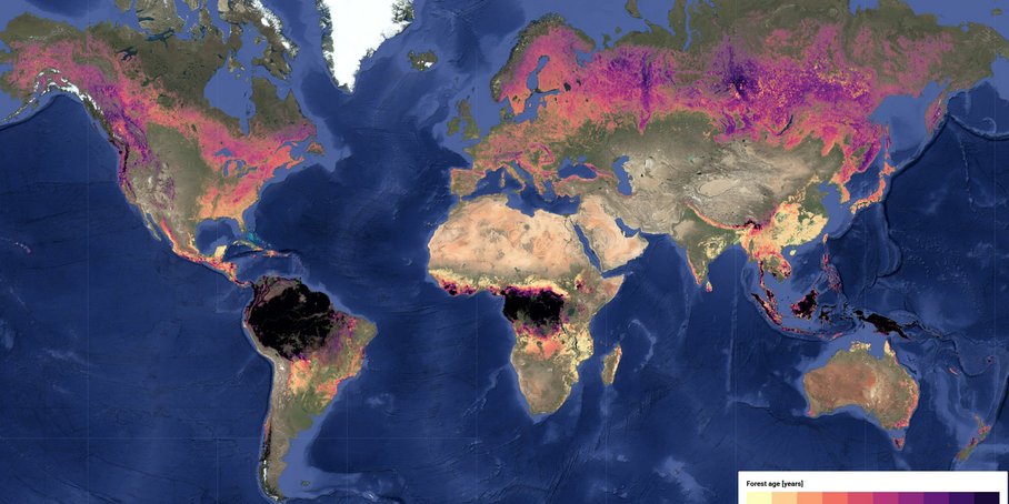 Weltkarte als Mercator-Poejektion mit natürlich eingefärbter Oberfläche. Wälder überlagern als farbige Flächen die Karte, je nach Alter in unterschiedlichen Farben.