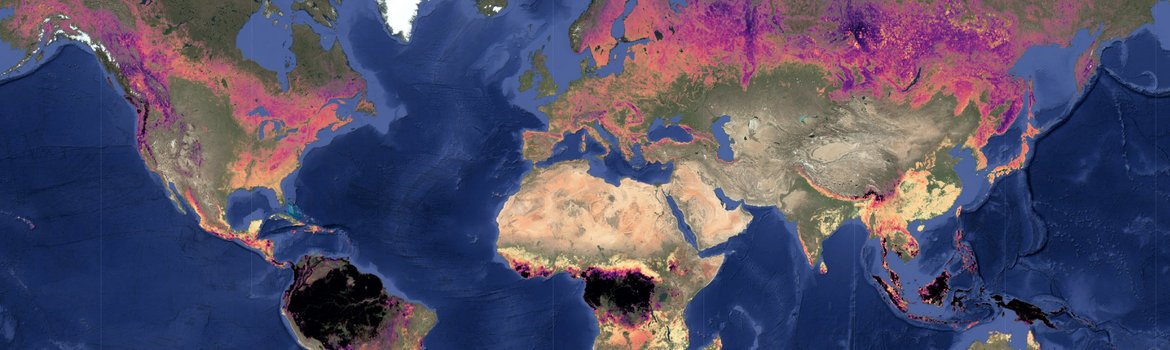 Weltkarte als Mercator-Poejektion mit natürlich eingefärbter Oberfläche. Wälder überlagern als farbige Flächen die Karte, je nach Alter in unterschiedlichen Farben.