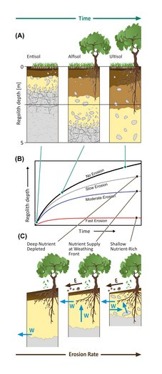 Figure reproduced from von Blanckenburg et al. (2021), American Journal of Science, 321(8), with permission.
