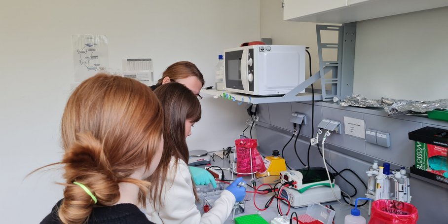 Zwei Schülerinnen und eine Wissenschaftlerin arbeiten im Labor, Ansicht von der Seite.