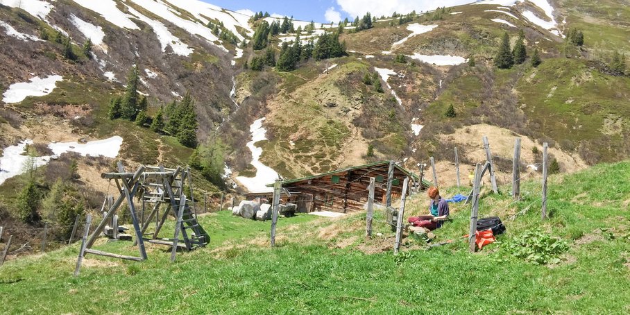 Auf dem sonnigen Bild ist eine grüne Bergwiese zu sehen, im Hintergrund ein Berghang, teils mit Schnee bedeckt. Im Mittelgrund sind Holzgeräte aufgestellt und eine Überdachung. Inmitten eines Zauns sitzt eine rothaarige Wissenschaftlerin.