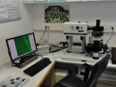 Konfokales Laser-Mikroskop