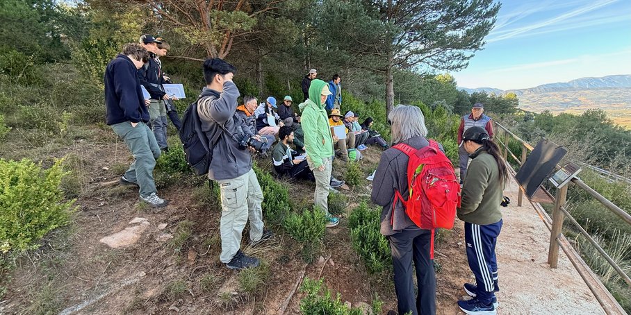Field trip in the Pyrenees