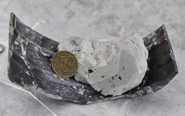 Ankerschlamm mit frisch angeschnittenem laminiertem Sediment aus dem Sary-Chelek See