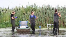 Fieldwork at Zarnekow polder
