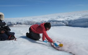 Probenahme von rotem Schnee in Grönland