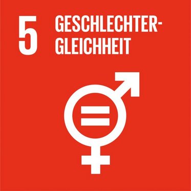 SDG icon