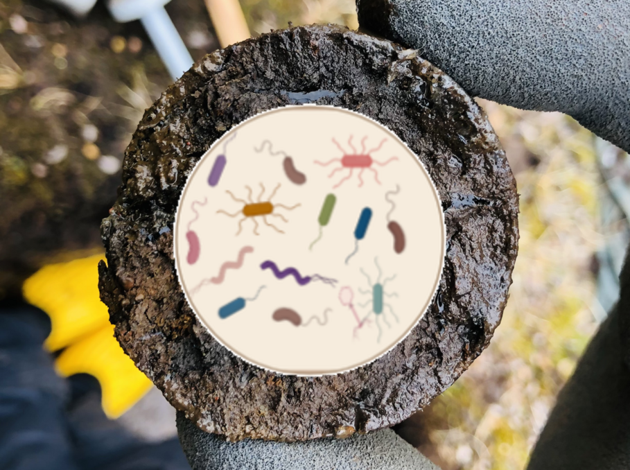 Scheme soil microbiom