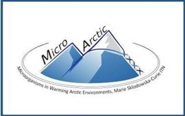 Micro Arctic logo