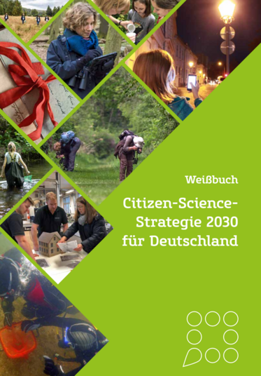 Titelbild des Weißbuchen Citizen Science