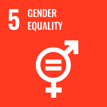 SDG icon