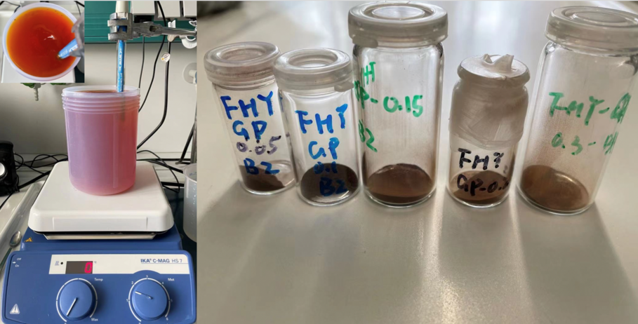 Photo for Zhengzheng's Research Update