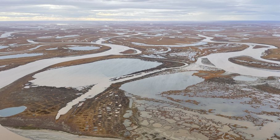 Flussdelta in arktischer Graslandschaft mit vielen kleinen Wasserläufen.