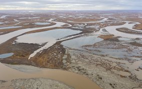 A river delta in an Arctic grassland landscape with many small watercourses.
