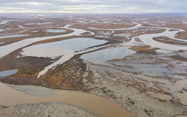 Flussdelta in arktischer Graslandschaft mit vielen kleinen Wasserläufen.