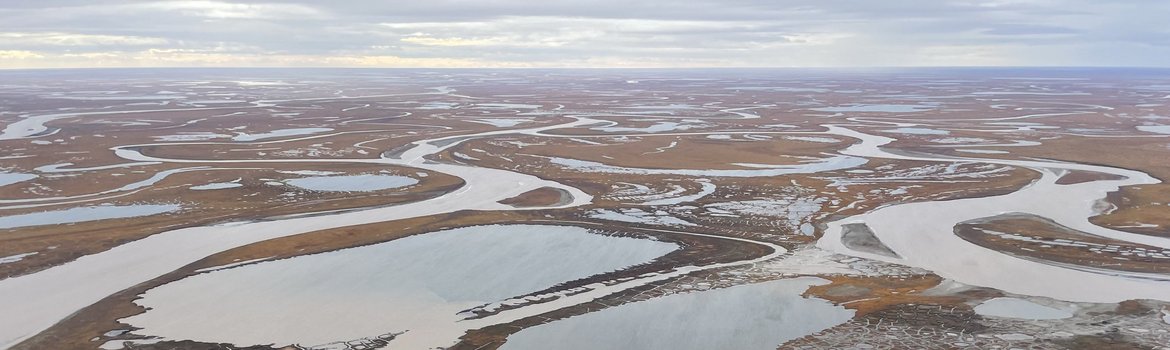 Flussdelta in arktischer Graslandschaft mit vielen kleinen Wasserläufen.