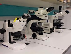 Photo of optical microscopes
