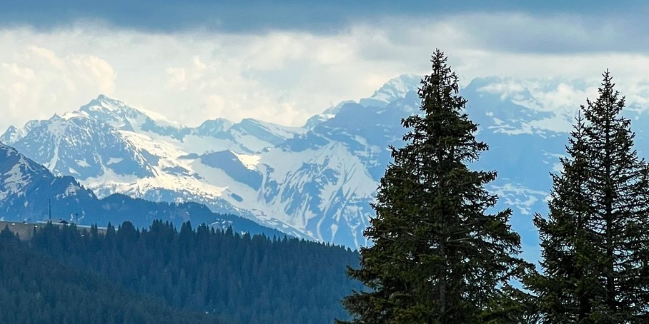 [Translate to English:] In der Mitte ein Radfahrer auf einer Straße vor einem Abhang, rechts davon sind Nadelbäume zu sehen. Auf der anderen Seite des Abhangs ist ebenfalls ein Nadelwald, darüber sieht man eine zum Teil schneedeckte Gebirgskette